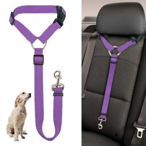 cinto de segurança para cachorro no carro - mondomio