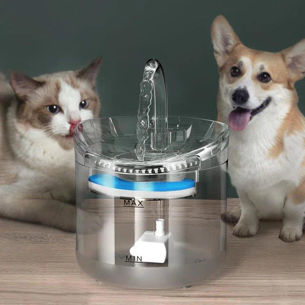 pet diepenser automático de água - mondomio